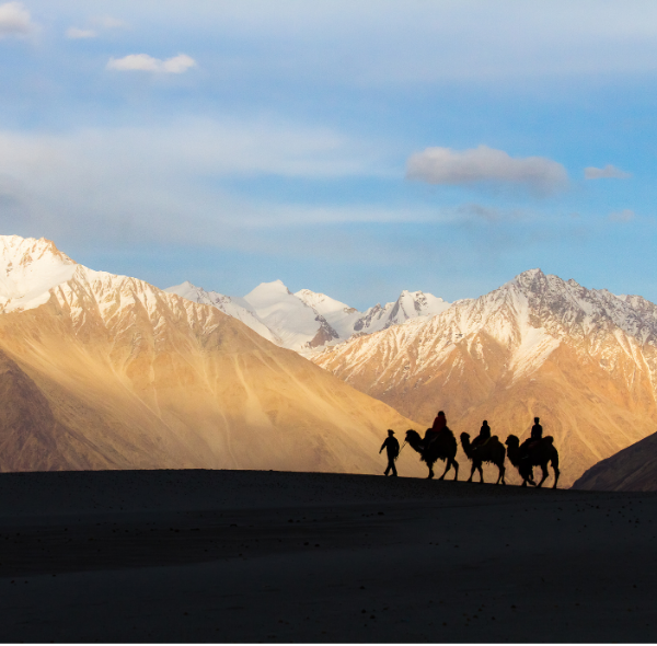 Ladakh bike trip, Nubra Pangong 5 Night 6 Days