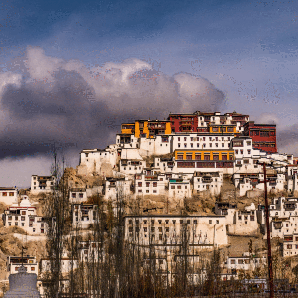 Ladakh Tour Package by Car | 12 Days Complete SUV Road Trip