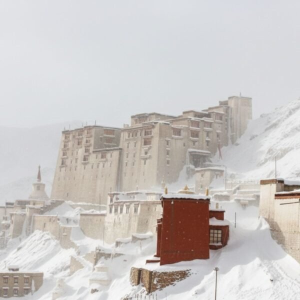 Winter Ladakh Package 4 Nights 5 Days
